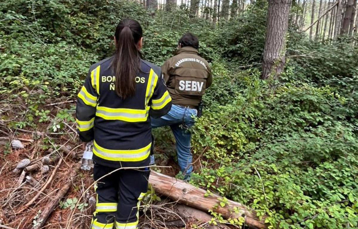 Encuentran muerto a hombre desaparecido en Ñuble